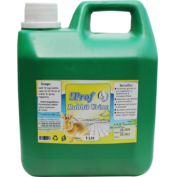 Rabit Urine
